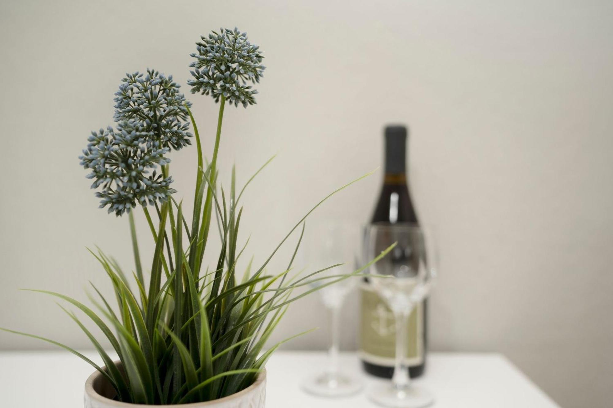 Haffkamp 16 Heimelig Apartment Groemitz Ngoại thất bức ảnh
